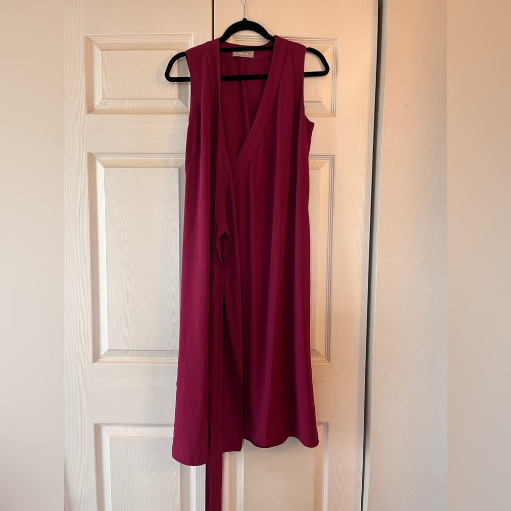 Everlane Wrap Dress